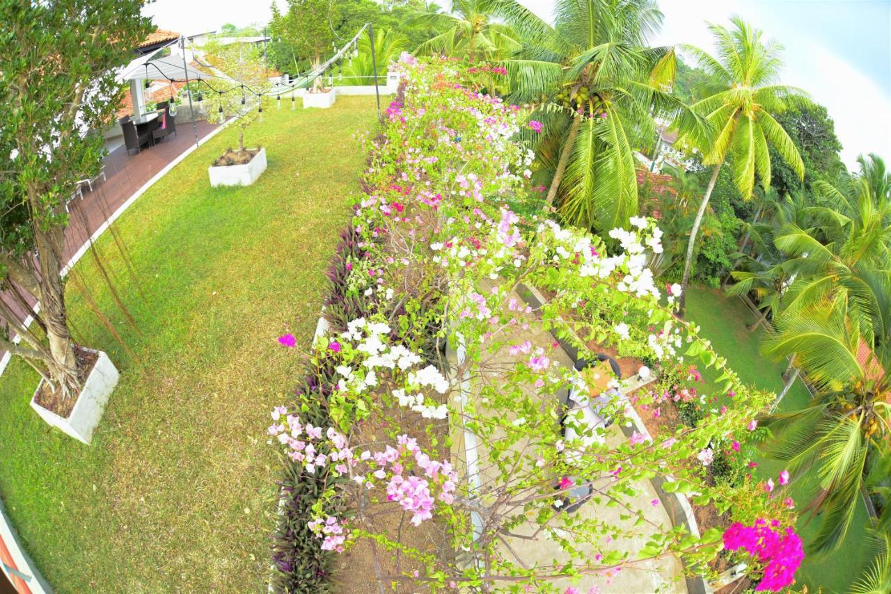 Tropical House - Jungleside Villa Hikkaduwa Dış mekan fotoğraf
